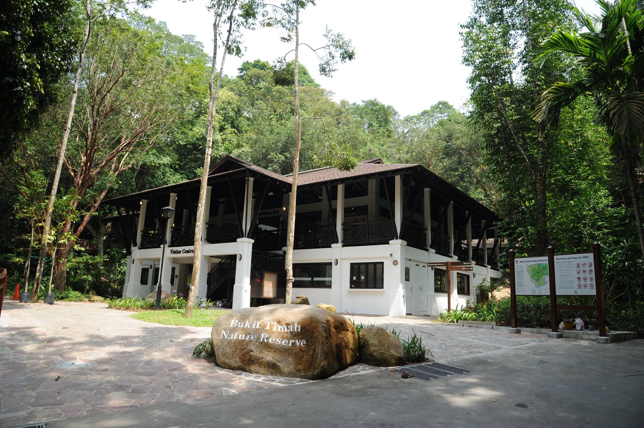 Bukit Timah Nature Reserve reopens! Here’s what’s new