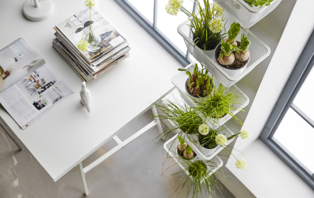 5 great indoor garden ideas for your apartment