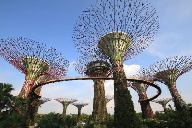 Internationally Used Inventions That Came from Singapore